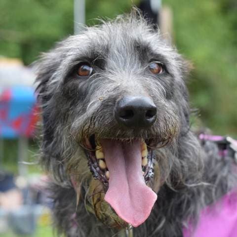 Blue & Skye — Unknown