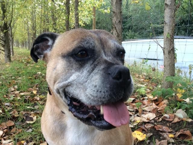 Gentle Missy — Unknown