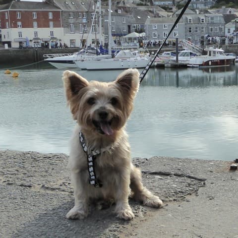 Super cute Sammy Sam — Unknown