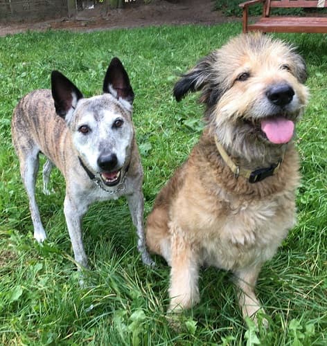 Toby & Sasha — Unknown