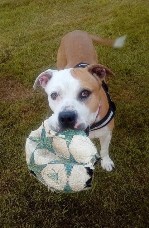 Boxery Duece — Unknown