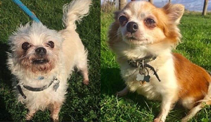 Olly & Coco — Unknown