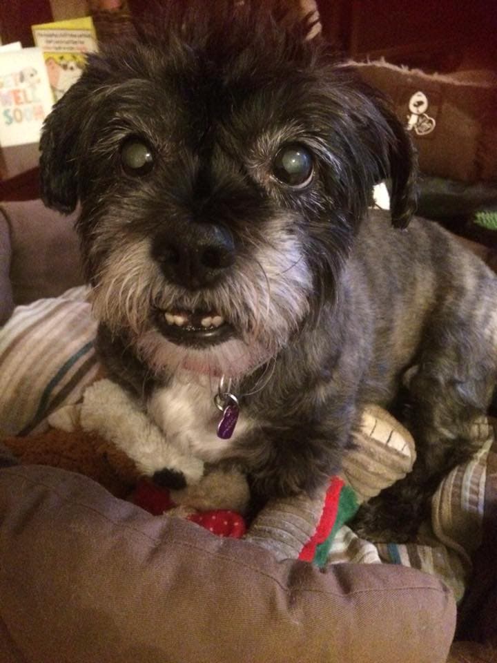 Loving Lulu — Unknown