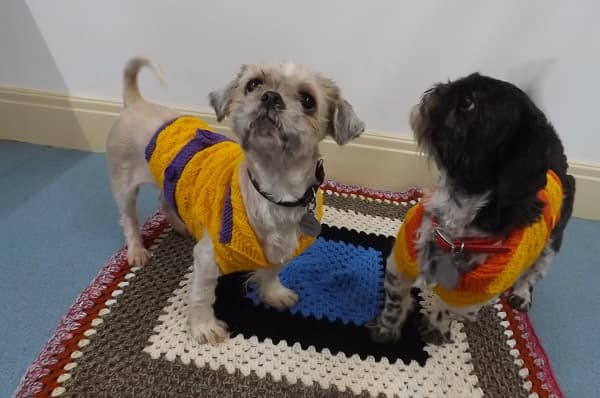 Tilly & Tink — Unknown