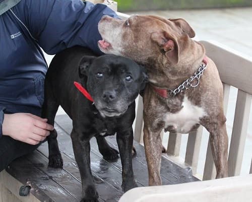 Kissy & Lovely — Unknown