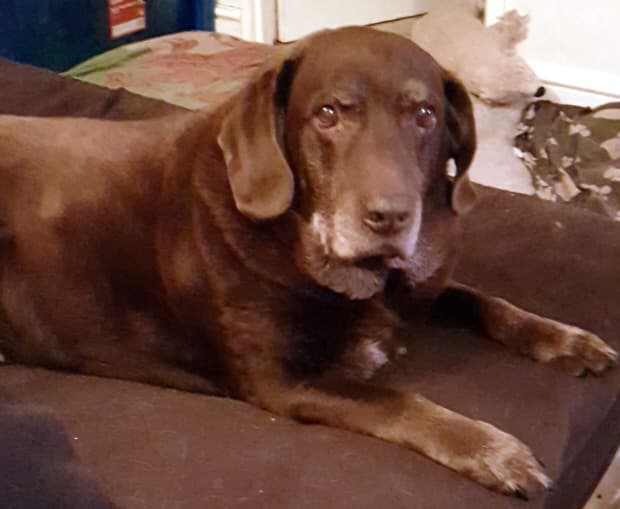 Mithered Max just wants to chillax! — Unknown