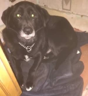 Mellow Max! — Unknown