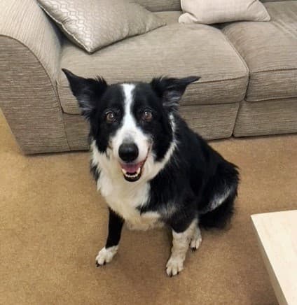 Super Duper Syd! — Unknown