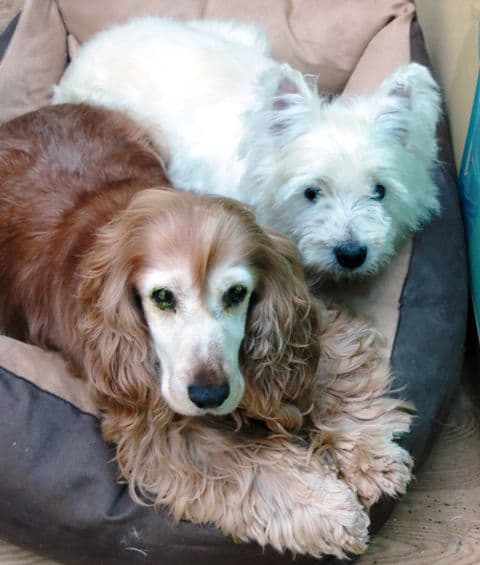 Chloe & Amber — Unknown