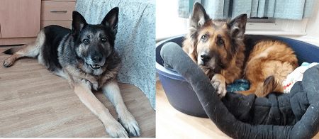 George and Gypsy — Unknown