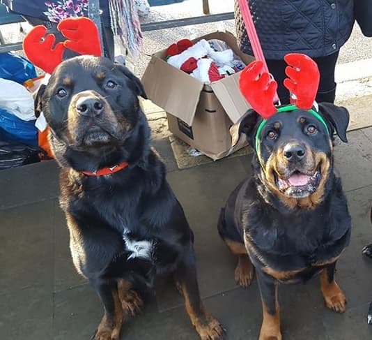 Max & Roxy — Unknown