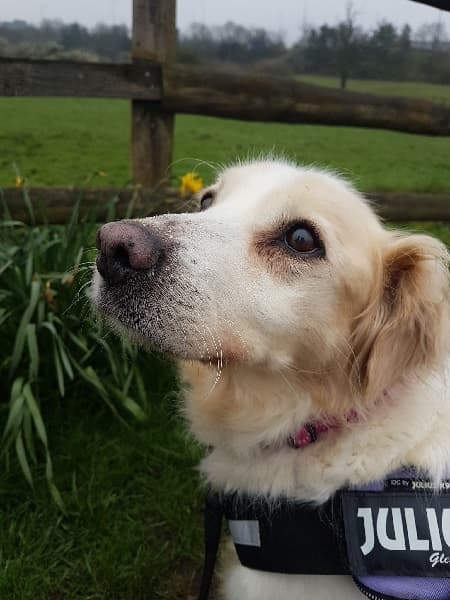 Valentina — Unknown