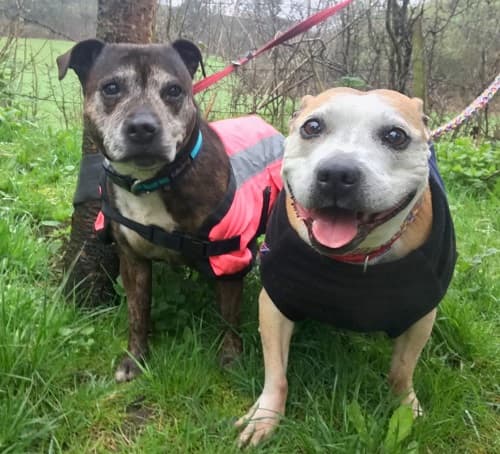 Ally & Carly — Unknown