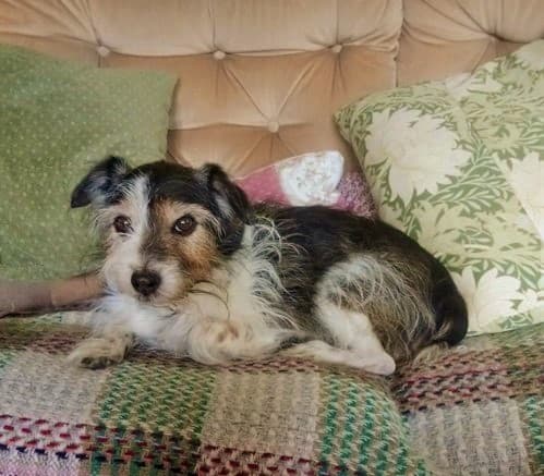 Loving lady Daisy! — Unknown