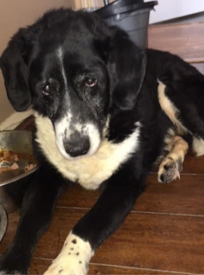 Poor old Winnie — Unknown