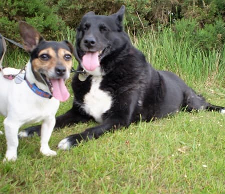 Belle and Lucy — Unknown