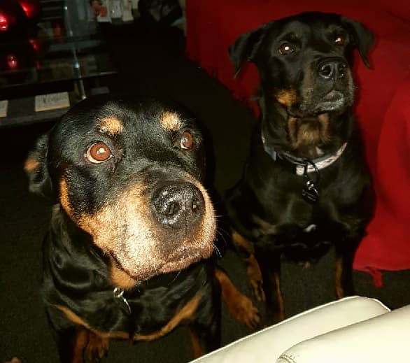 Holly and Roxanne — Unknown