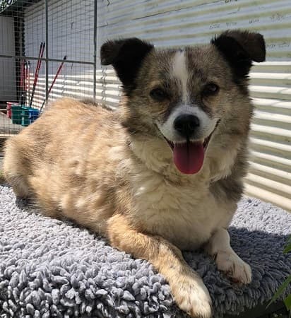 Tuppence — Unknown