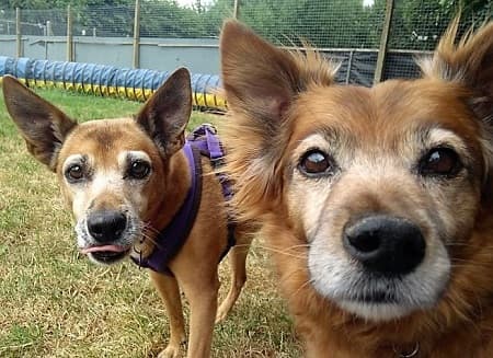 Bonnie and Bella — Unknown