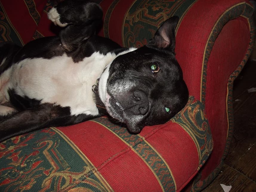 Special Shadow — Unknown