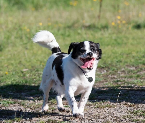 Autumn Auction 14- 27 October 2018 — Unknown