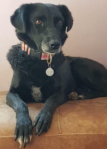 Emery (girl!) — Unknown