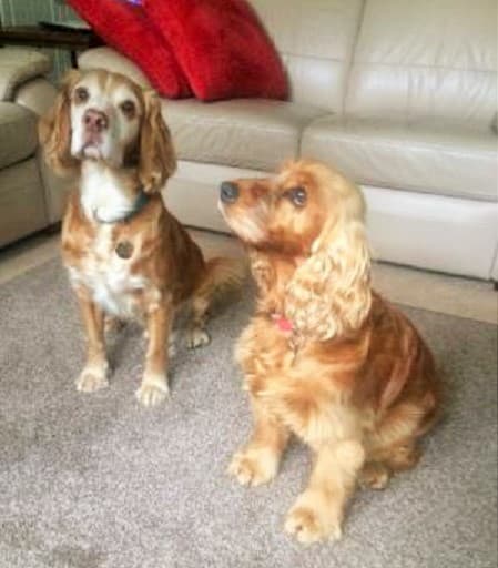 Minnie & Marnie — Unknown