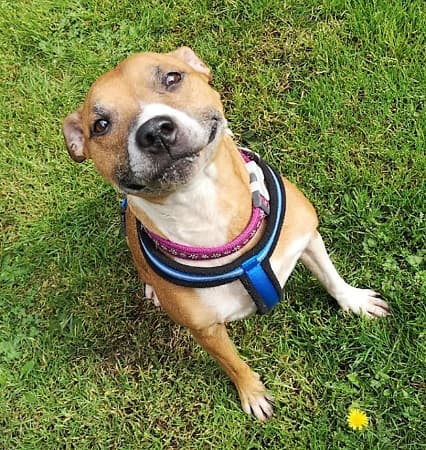 Maddison — Unknown