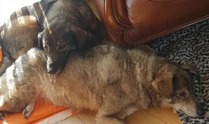 Myla & Freya — Unknown