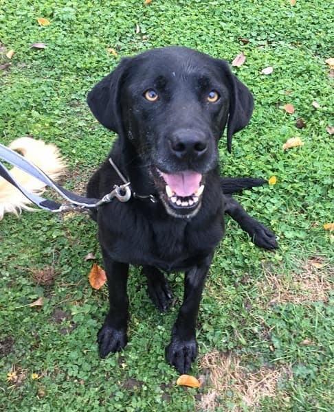 Princess — Unknown