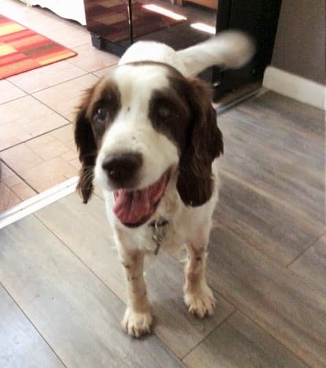 Everyone’s friend Milly! — Unknown