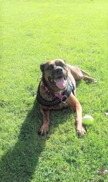 Tara’s a perfect match — Unknown