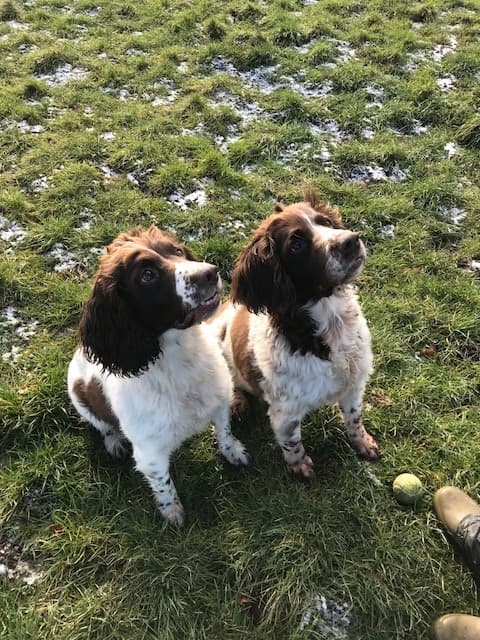 Holly & Willow — Unknown