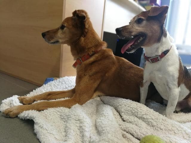 Owen and Oliver — Unknown