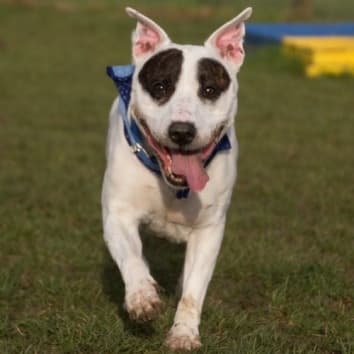 Kingston — Unknown