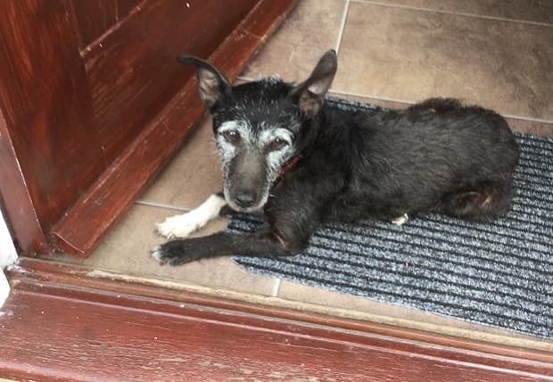 Loving Little Layla! — Unknown