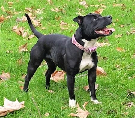 Scribble — Unknown