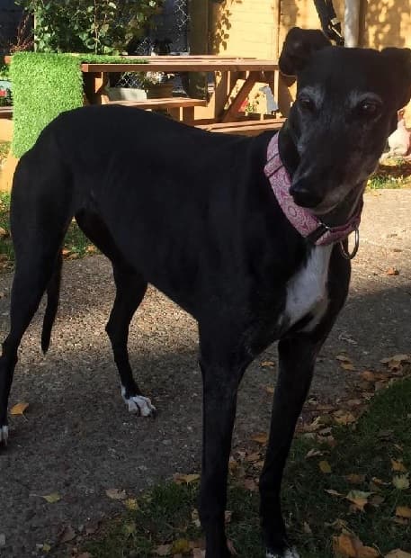 Beauty & Megan — Unknown