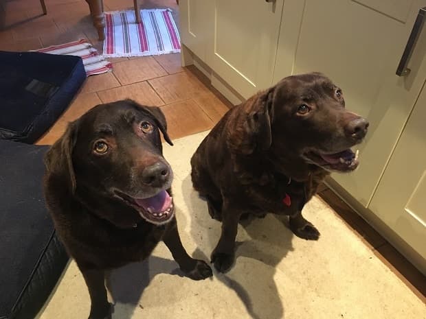 Bill and Ben the Chocolate Men! — Unknown