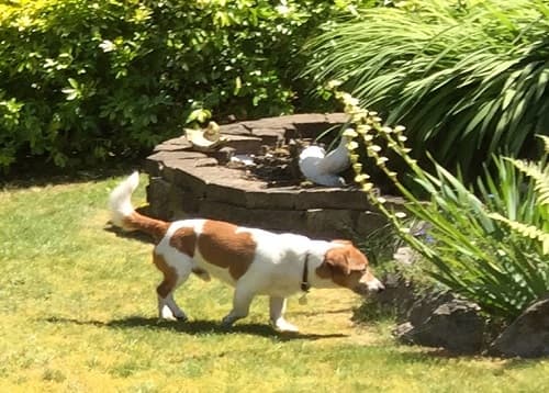 Settled and happy Sonny! — Unknown