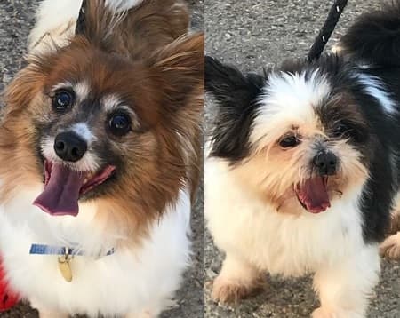 Timmy and Suzy — Unknown