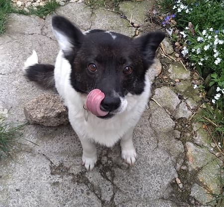 Yosephina — Unknown