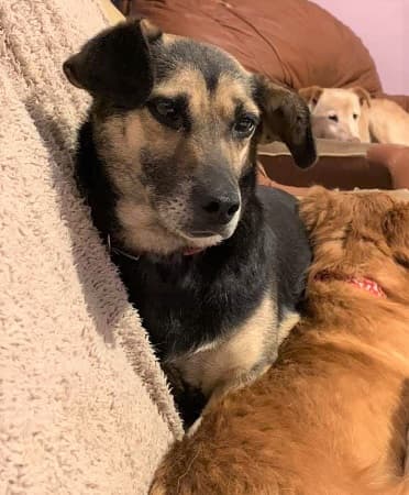 Tokyo (female) — Unknown