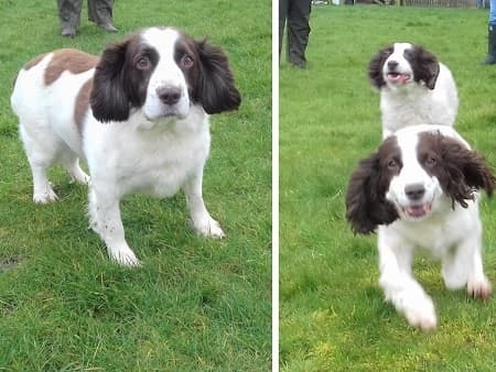 Buster, Poppy and Polly — Unknown