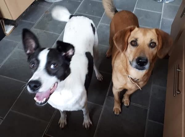 Calvin & Ginny — Unknown