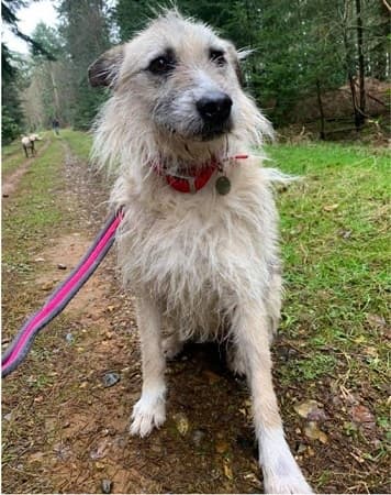 Deardrey — Unknown