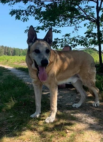 Benidorm Bob — Unknown