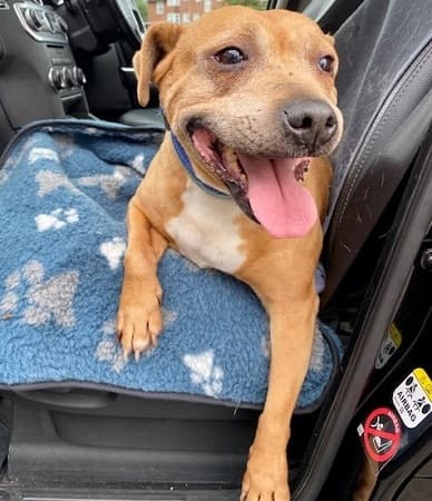 Tennyson — Unknown