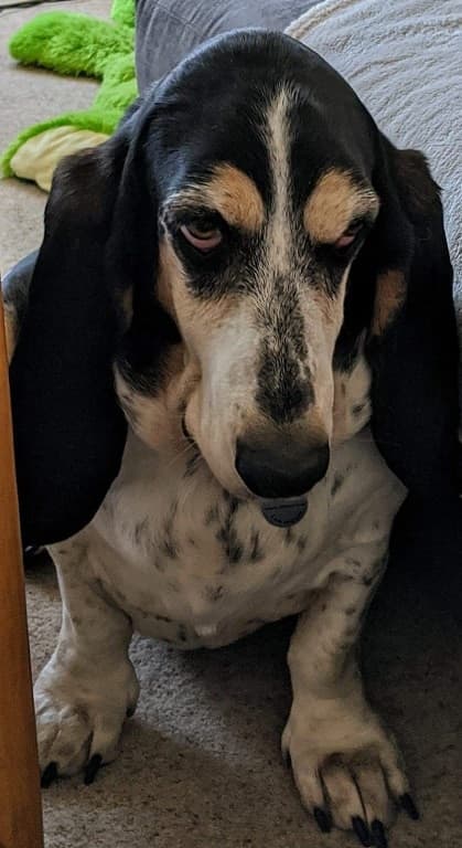 Queen Cleopatra – Cleo for short! — Unknown