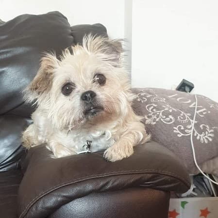 Precious — Unknown